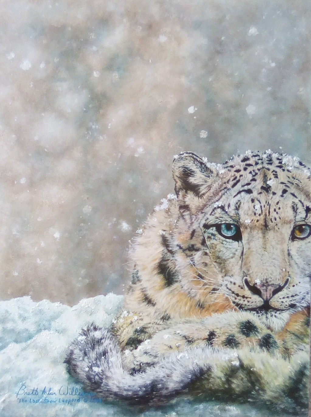 The Last Snow Leopard